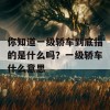 你知道一级轿车到底指的是什么吗？一级轿车什么意思