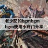 老少配的bgmbgmbgm使用小窍门分享