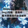 《Sleeping Dogs攻略：道具收集与使用技巧全面解析》