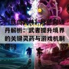 《铁血武林》红色突破丹解析：武者提升境界的关键灵药与游戏机制探讨