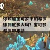 你知道宝可梦中的希罗娜到底多大吗？宝可梦希罗娜年龄