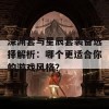 深渊套与星辰套装备选择解析：哪个更适合你的游戏风格？