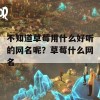 不知道草莓用什么好听的网名呢？草莓什么网名