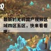 最新的无码国产视频区域四区五区，快来看看吧！