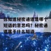 你知道秘密通道是哪个短语的意思吗？秘密通道属于什么短语