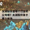 太湖股份是哪个行业的公司呢？太湖股份属于哪个板块