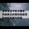 发现生活中的小确幸：鸟叔绅士的奇妙旅程带你体验乐趣与惊喜