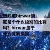 想知道bizwar到底是个什么级别的比赛吗？bizwar属于什么竞赛级别