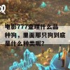 电影777查理什么品种狗，里面那只狗到底是什么种类呢？