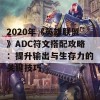 2020年《英雄联盟》ADC符文搭配攻略：提升输出与生存力的关键技巧