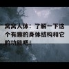 窝窝人体：了解一下这个有趣的身体结构和它的功能吧！