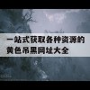 一站式获取各种资源的黄色吊黑网址大全