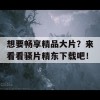 想要畅享精品大片？来看看骚片精东下载吧！