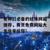 老师们必备的丝袜网站推荐，黄页免费网站大全分享给你！