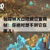 仙踪林入口隐藏位置揭秘：你绝对想不到它在哪儿！