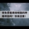 想免费看黄晓明版的神雕侠侣吗？快来这里！