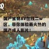 国产蜜臀AV在线二w区，带你体验最火热的国产成人影片！