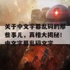 关于中文字幕乱码的那些事儿，真相大揭秘！中文字幕乱码文字