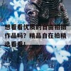 想看看优质的自由拍摄作品吗？精品自在拍精选看看！