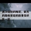 再次绽放的梅花，前方的路和背后的故事交织在一起