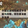 小霸王游戏隐藏关卡详解与攻略，带你重温童年乐趣