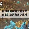 你知道电视剧《妻子的谎言》总共有多少集吗？