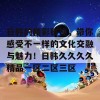 日韩的精彩碰撞，带你感受不一样的文化交融与魅力！日韩久久久久精品一区二区三区