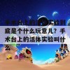 手术台上的活体实验到底是个什么玩意儿？手术台上的活体实验叫什么