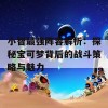 小智最强阵容解析：探秘宝可梦背后的战斗策略与魅力