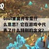 soul里面开车是什么意思？它在游戏中代表了什么特别的含义？