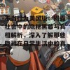 不当行为美国版：揭露社会中的隐秘黑幕与真相解析，深入了解那些隐藏在日常生活中的真相。