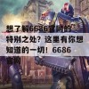 想了解6686官网的特别之处？这里有你想知道的一切！6686官网