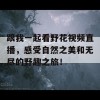 跟我一起看野花视频直播，感受自然之美和无尽的野趣之旅！