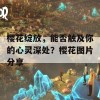 樱花绽放，能否触及你的心灵深处？樱花图片分享