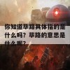 你知道荜路具体指的是什么吗？荜路的意思是什么呢？