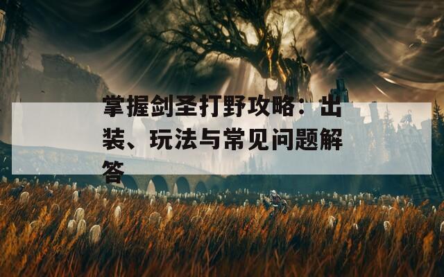 掌握剑圣打野攻略：出装、玩法与常见问题解答