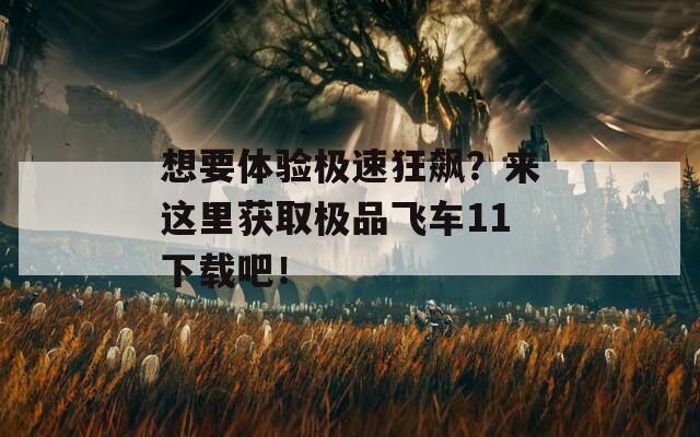 想要体验极速狂飙？来这里获取极品飞车11下载吧！