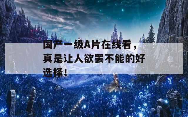 国产一级A片在线看，真是让人欲罢不能的好选择！