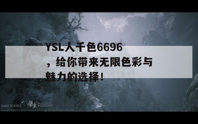 YSL人千色6696，给你带来无限色彩与魅力的选择！