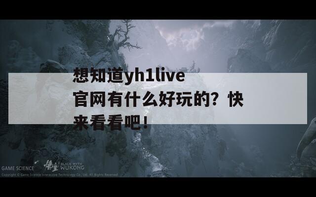 想知道yh1live官网有什么好玩的？快来看看吧！