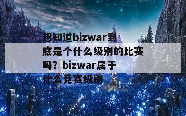 想知道bizwar到底是个什么级别的比赛吗？bizwar属于什么竞赛级别