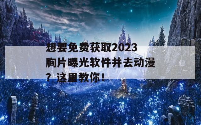 想要免费获取2023胸片曝光软件并去动漫？这里教你！