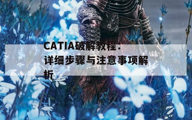 CATIA破解教程：详细步骤与注意事项解析