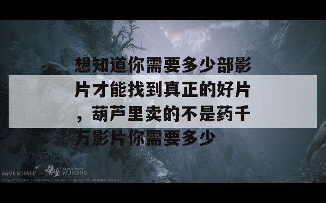 想知道你需要多少部影片才能找到真正的好片，葫芦里卖的不是药千万影片你需要多少