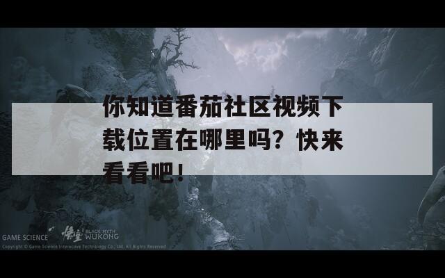 你知道番茄社区视频下载位置在哪里吗？快来看看吧！