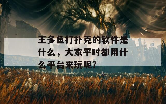 王多鱼打扑克的软件是什么，大家平时都用什么平台来玩呢？