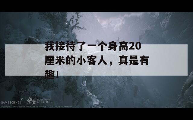 我接待了一个身高20厘米的小客人，真是有趣！