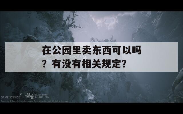 在公园里卖东西可以吗？有没有相关规定？