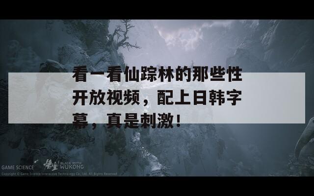 看一看仙踪林的那些性开放视频，配上日韩字幕，真是刺激！