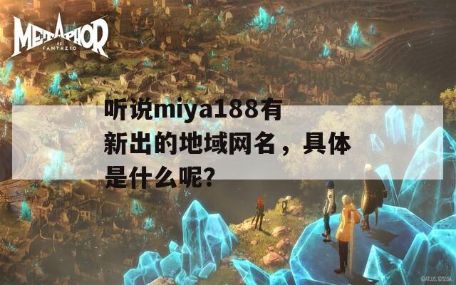 听说miya188有新出的地域网名，具体是什么呢？